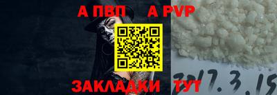 СК Бийск