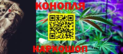 СК Бийск