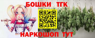 СК Бийск
